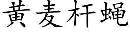 黄麦杆蝇 (楷体矢量字库)