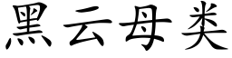 黑云母类 (楷体矢量字库)