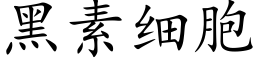 黑素细胞 (楷体矢量字库)