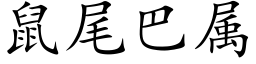 鼠尾巴屬 (楷體矢量字庫)