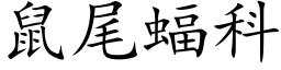 鼠尾蝠科 (楷體矢量字庫)