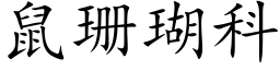 鼠珊瑚科 (楷體矢量字庫)