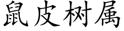 鼠皮樹屬 (楷體矢量字庫)