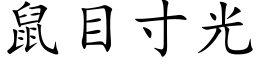 鼠目寸光 (楷體矢量字庫)