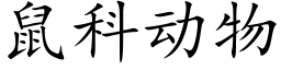 鼠科动物 (楷体矢量字库)