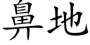 鼻地 (楷体矢量字库)