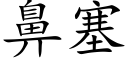 鼻塞 (楷体矢量字库)