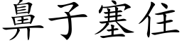 鼻子塞住 (楷体矢量字库)