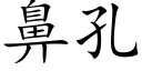 鼻孔 (楷体矢量字库)