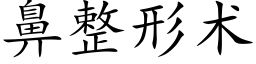 鼻整形術 (楷體矢量字庫)