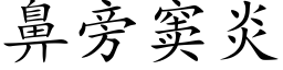 鼻旁窦炎 (楷体矢量字库)