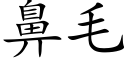 鼻毛 (楷体矢量字库)