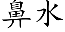 鼻水 (楷体矢量字库)