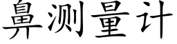 鼻测量计 (楷体矢量字库)