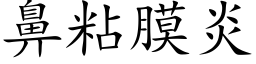 鼻粘膜炎 (楷体矢量字库)