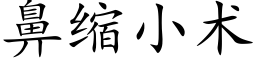 鼻缩小术 (楷体矢量字库)