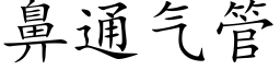 鼻通氣管 (楷體矢量字庫)