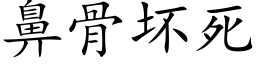 鼻骨坏死 (楷体矢量字库)