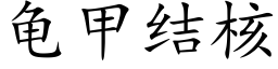 龜甲結核 (楷體矢量字庫)